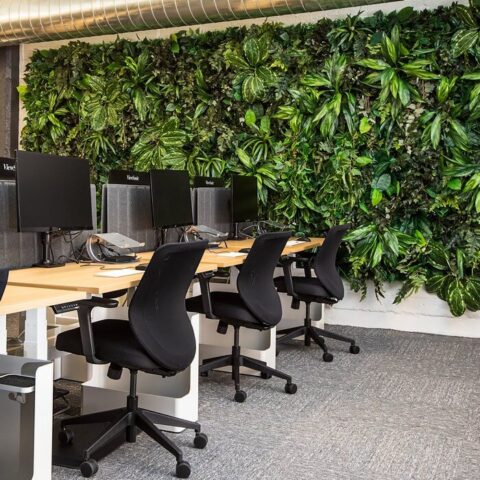 La importancia de las zonas verdes en oficinas